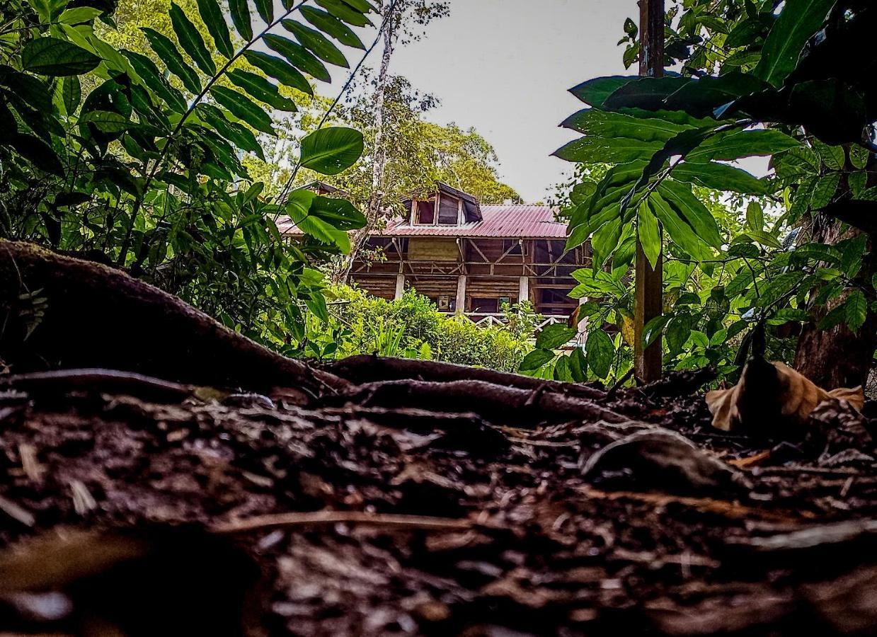 Centro Ecológico Montaña Verde Rivas Exterior foto