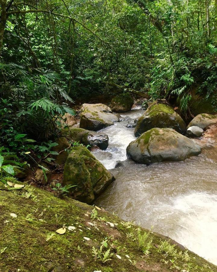 Centro Ecológico Montaña Verde Rivas Exterior foto